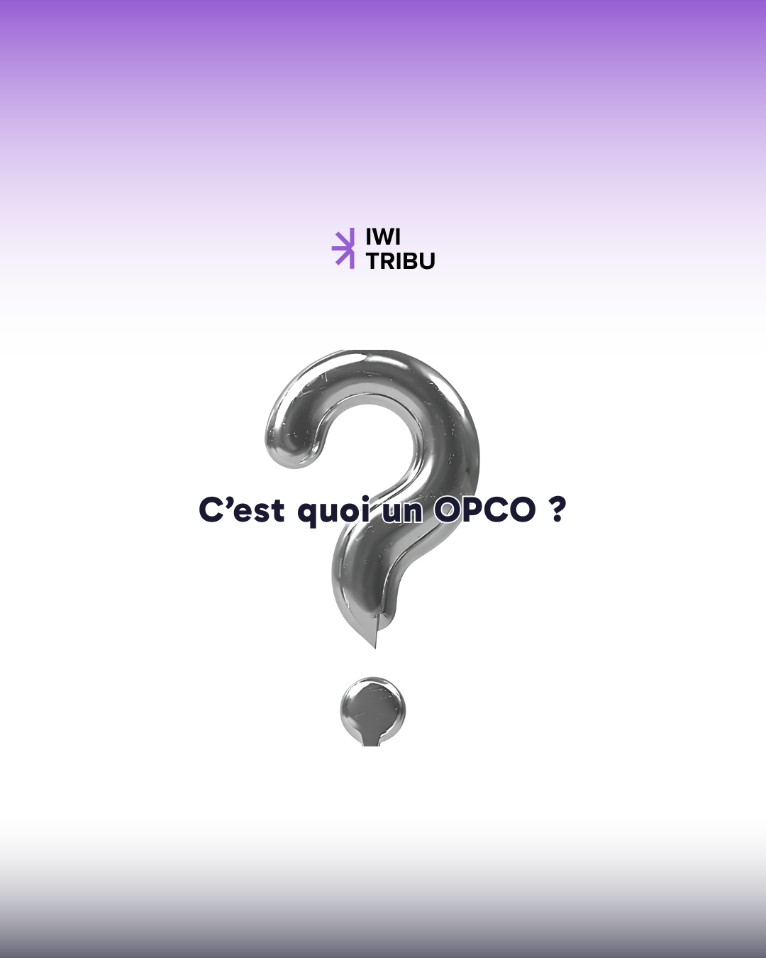 IWI TRIBU et les OPCO : le duo gagnant pour votre formation | On vous explique comment faire financer vos formations