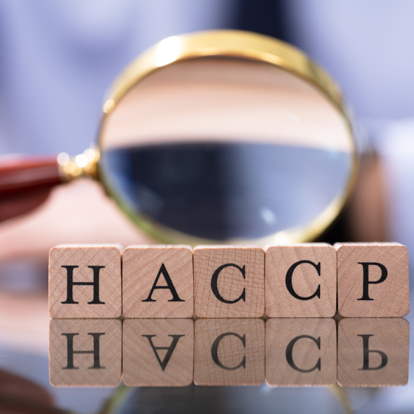 Formation Hygiène Alimentaire à Aubagne – La Fédération IWI Tribu dans les Bouches du Rhône