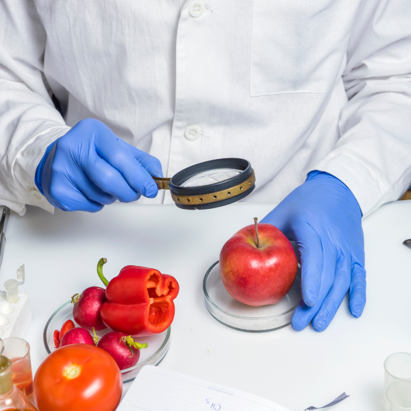 Formation Hygiène alimentaire à Aubagne dans les Bouches du Rhône – IWI Tribu
