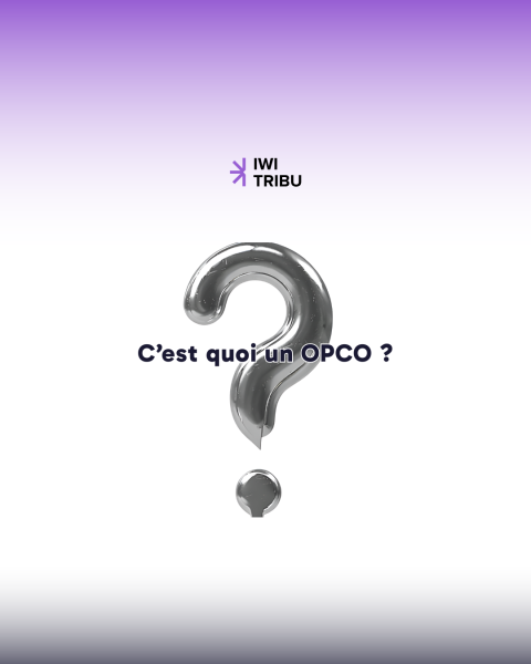 IWI TRIBU et les OPCO : le duo gagnant pour votre formation | On vous explique comment faire financer vos formations
